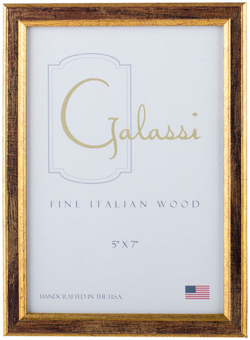 Frame Galassi  Brown/Gold Mesa 8 x 10