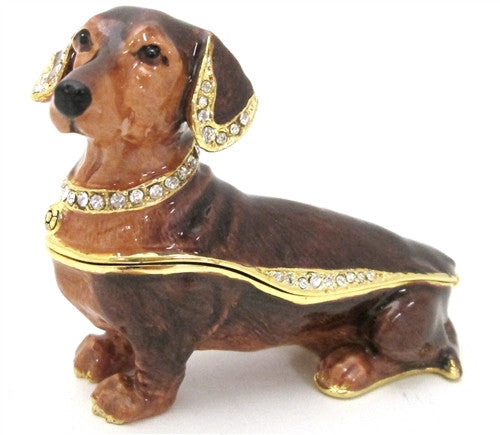 Dachsund