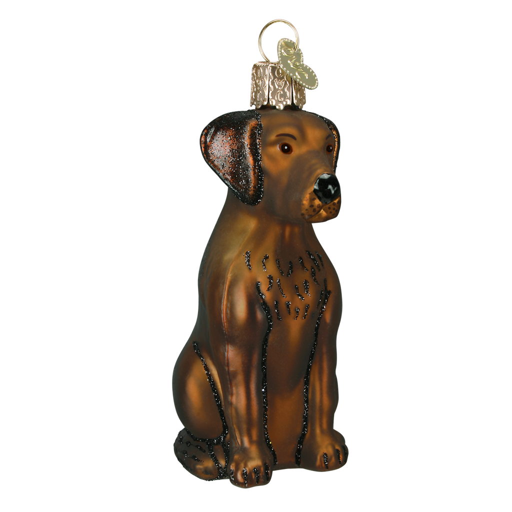Old World Christmas Chocolate Labrador