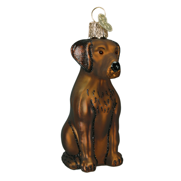 Old World Christmas Chocolate Labrador